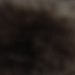 Meet your Posher, layla